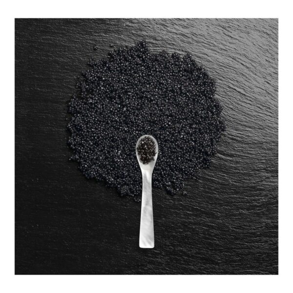Caviar Anti-Aging (Infinite Color Hold Shampoo) 250ml - Image 3