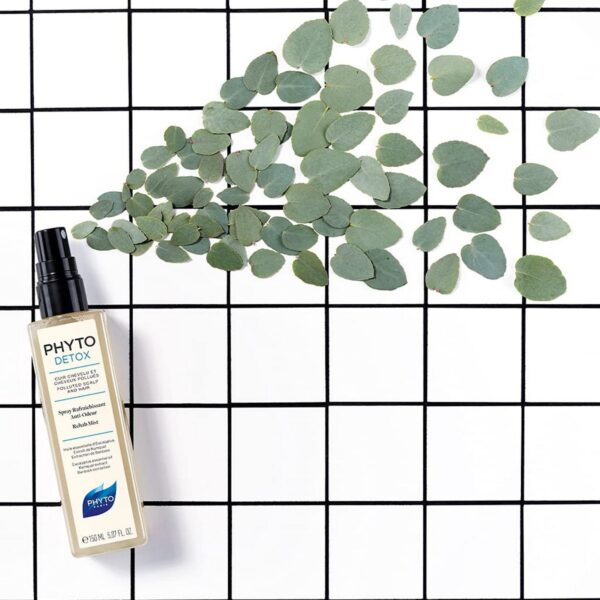 Phyto PhytoDetox Rehab Mist 150 ml - Image 4
