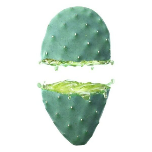 24H Hydrating Face Lotion - Prickly Pear 24h Hydrating Face Lotion 30ml - Image 2