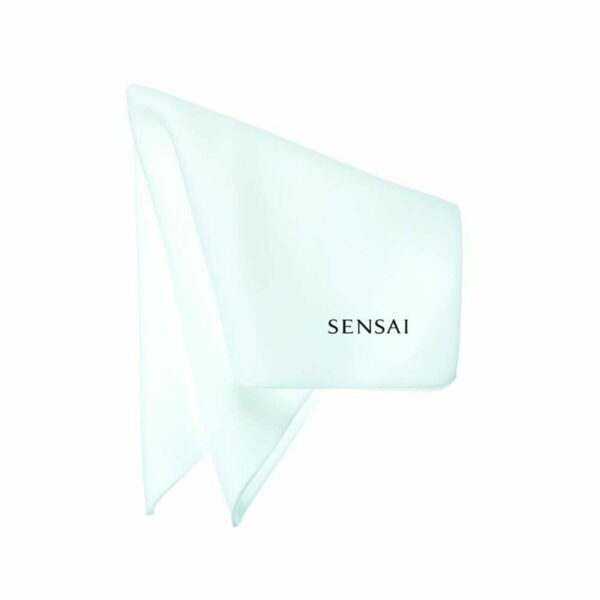 Sponge Chief - Image 2