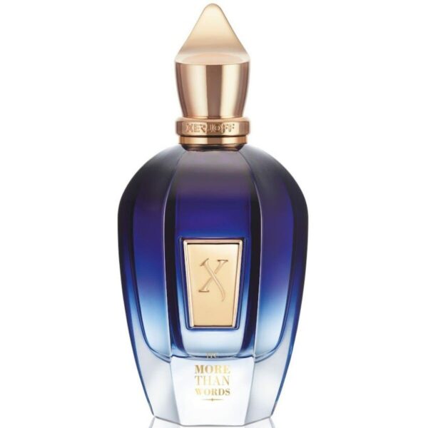 Xerjoff Join the Club More Than Words Eau De Parfum 100 ml (unisex)