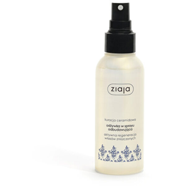 Hair Conditioner - Obnovující kondicionér ve spreji 125ml